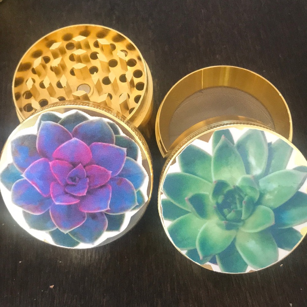 Succulent Grinders 💛